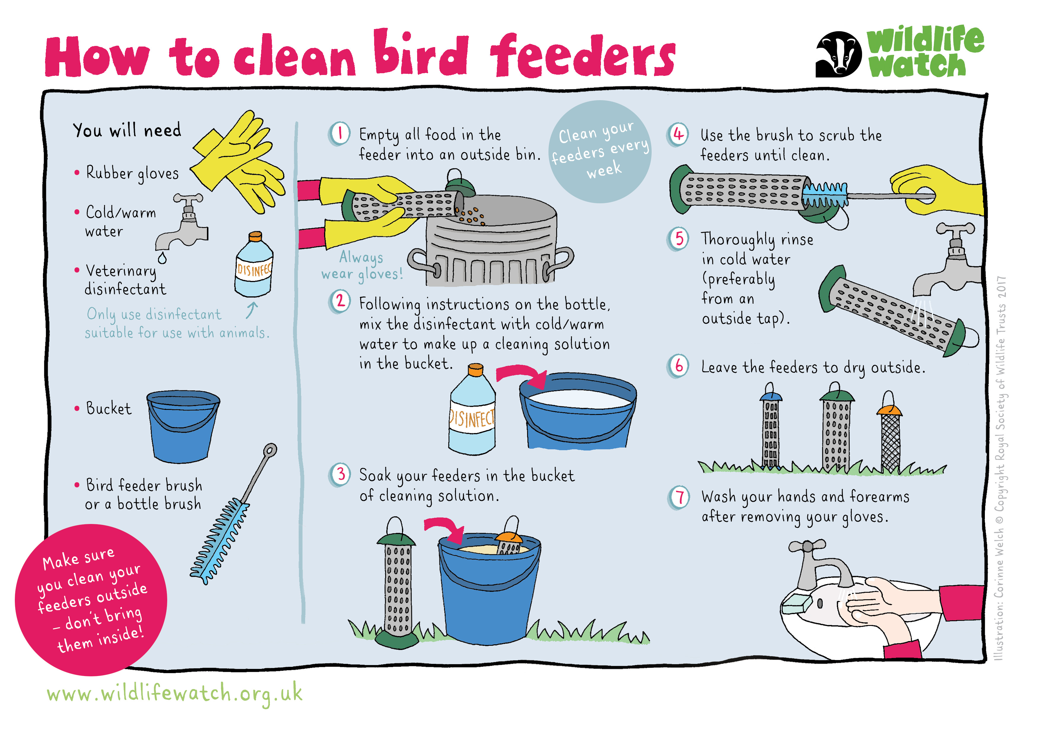 How to clean nestboxes and bird feeders | Surrey Wildlife Trust